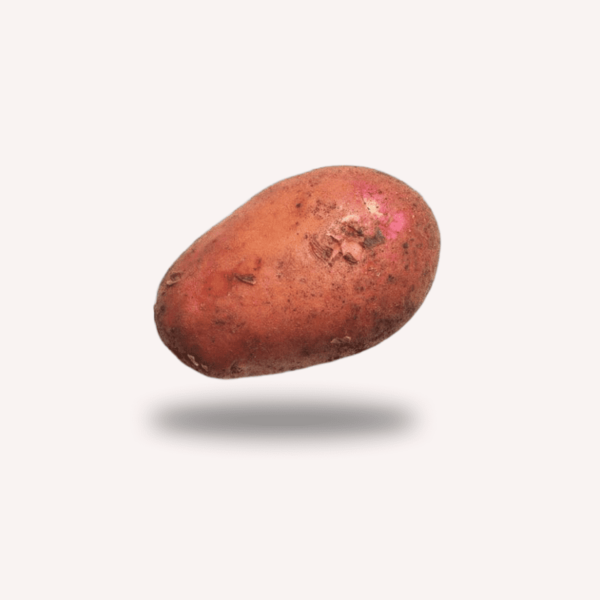 Potato